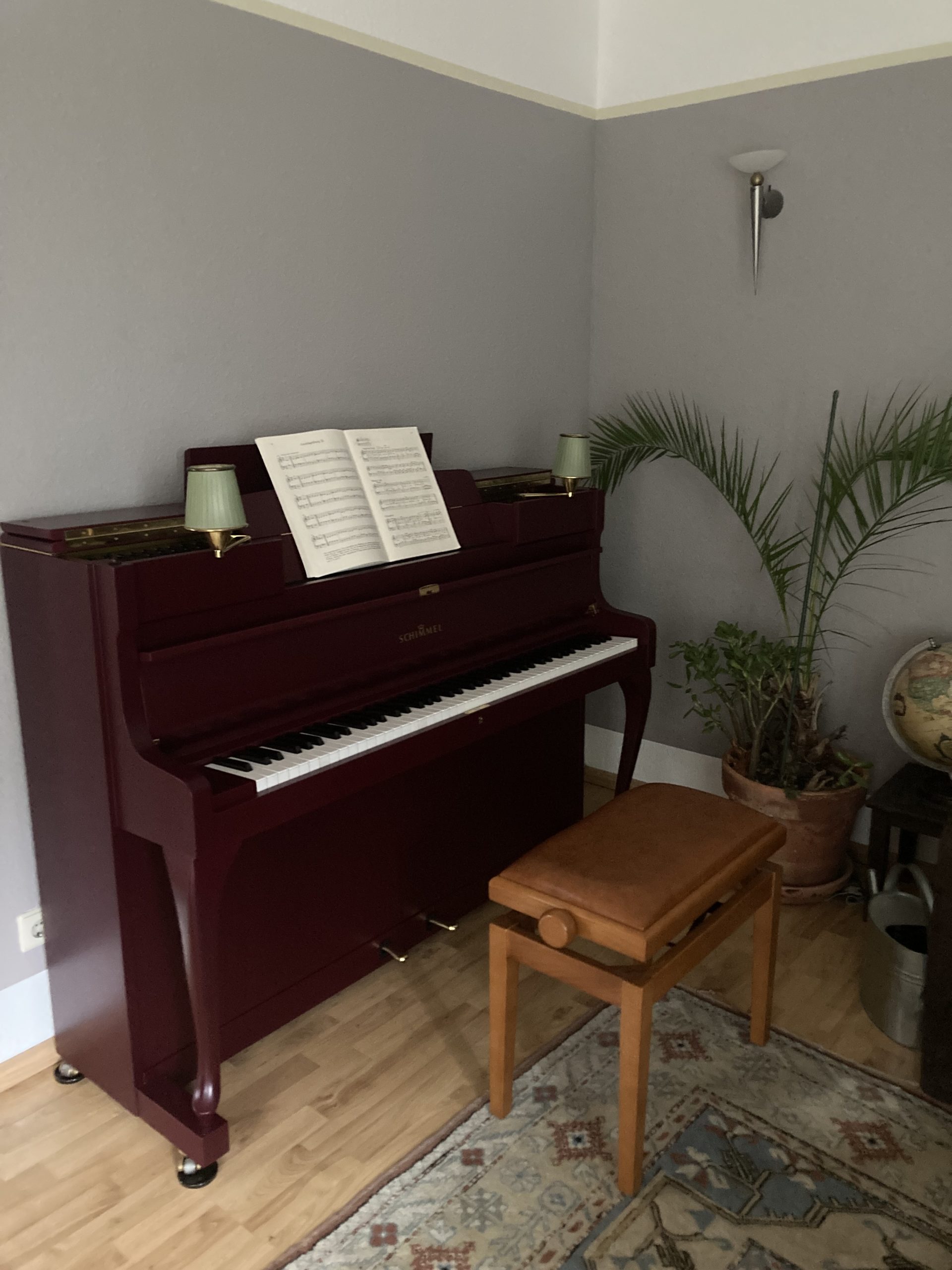 Klavier Schimmel 108 Chippendale - DEGUS PIANOS - Kunden Bewertung