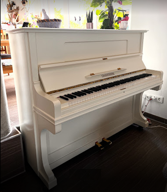 Kunden Bewertung für DEGUS PIANOS - Grotrian-steinweg Klavier